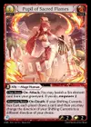 Product image for Pupil of Sacred Flames