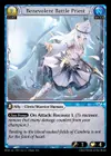 Product image for Benevolent Battle Priest