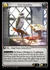 Product image for Owl Familiar