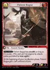 Product image for Patient Rogue