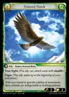 Product image for Trained Hawk