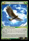 Product image for Trained Hawk