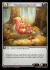 Product image for Woodland Squirrels