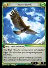 Product image for Trained Hawk