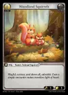 Product image for Woodland Squirrels