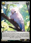 Product image for Fledgling