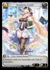 Product image for Academy Guide