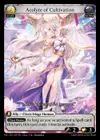 Product image for Acolyte of Cultivation