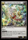Product image for Apostle of the Woods