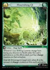 Product image for Flourishing Qi