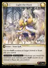 Product image for Light the Hunt