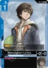 Product image for Banagher Links