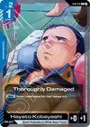 Product image for Thoroughly Damaged