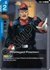 Product image for Privileged Position