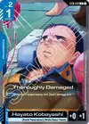 Product image for Thoroughly Damaged