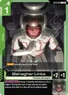 Product image for Banagher Links