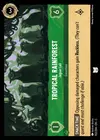 Product image for Tropical Rainforest - Jaguar Lair