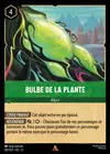 Product image for Bulbe de la plante