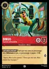 Product image for Dingo - Touriste enthousiaste