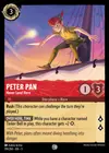 Product image for Peter Pan - Never Land Hero