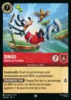 Product image for Dingo - Athlète de l'extrême