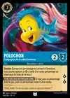 Product image for Polochon - Compagnon de la collectionneuse