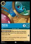 Product image for Pascal - Inquisitive Pet