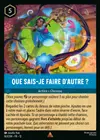 Product image for Que sais-je faire d'autre ?