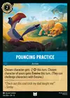 Product image for Pouncing Practice