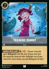 Product image for Training Dummy
