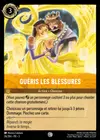Product image for Guéris les blessures