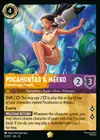 Product image for Pocahontas & Meeko - Adventurous Friends
