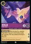Product image for Merlin - Bauble Expert