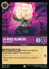 Product image for La Rose Blanche - Joyau du jardin