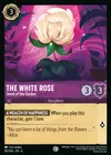 Product image for The White Rose - Jewel of the Garden