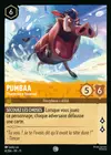 Product image for Pumbaa - Phacochère hivernal