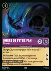 Product image for Ombre de Peter Pan - Décousue