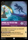 Product image for Ombre de Peter Pan - Farceur insaisissable