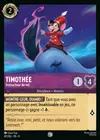 Product image for Timothée - Instructeur de vol