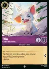 Product image for Pua - Cochon mécontent