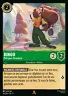 Product image for Dingo - Prêt pour l'aventure