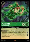 Product image for Peter Pan - Créé par la Plante