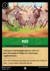 Product image for Ruée
