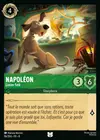 Product image for Napoléon - Limier futé