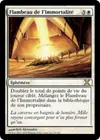Product image for Flambeau de l'Immortalité