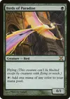 Product image for Birds of Paradise