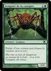 Product image for Araignée de la canopée