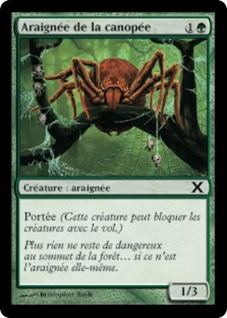 Araignée de la canopée — Tenth Edition — Magic: The Gathering