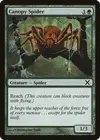 Product image for Canopy Spider