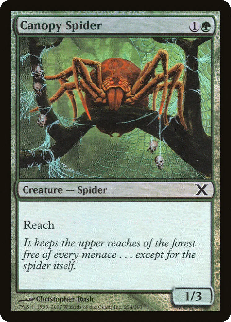 Canopy Spider — Tenth Edition — Magic: The Gathering